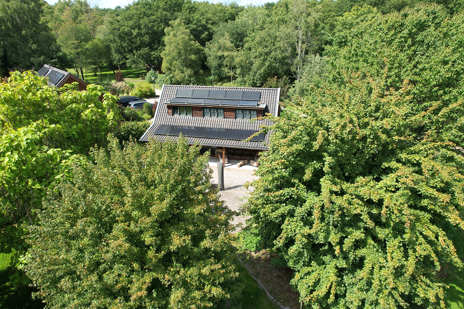 Inn The Woods