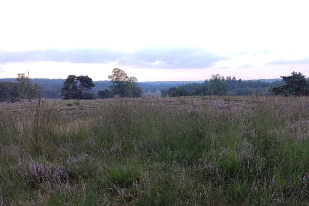 Vergaderen op de Veluwe, Anders Vergaderen bij vergaderlocatie Den Eikenboom