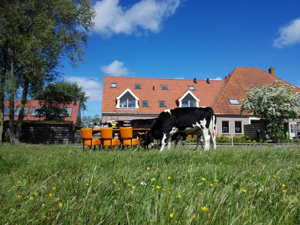 Vergaderen bij de boer bij 't Bullekroffie