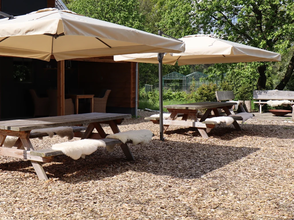 Vergaderen in Utrecht, Vergaderen in het bos bij vergaderlocatie Inn the Woods, buiten