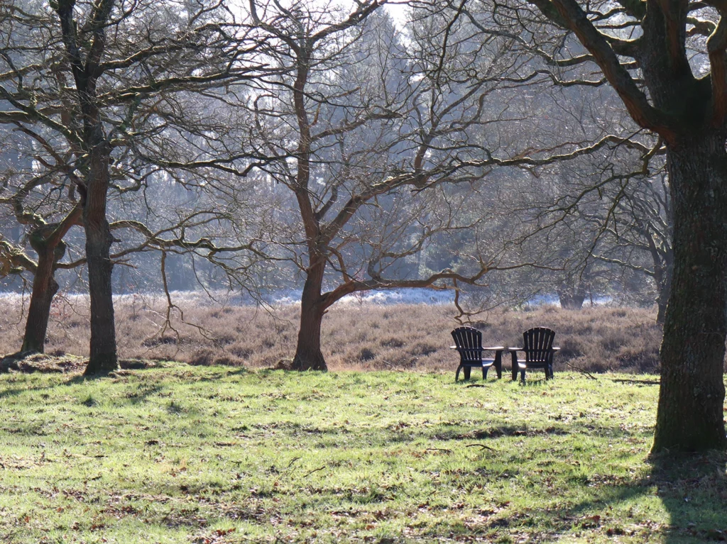Vergaderen in Utrecht, Vergaderen in het bos bij vergaderlocatie Inn the Woods, vergaderen in de natuur