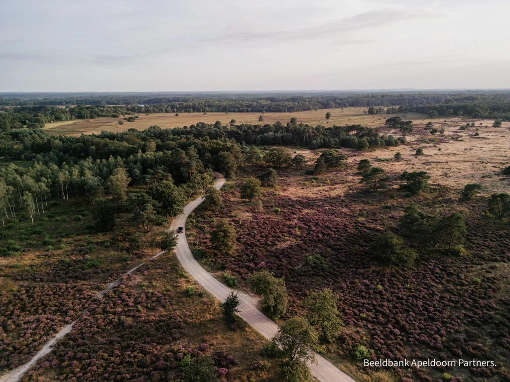 Vergaderen op de Veluwe bij Vergaderlocatie Den Eikenboom, Vergaderen in de Natuur