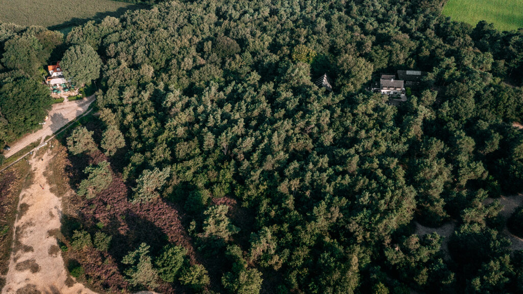 Vergaderen in de natuur bij Vergaderlocatie De Wever Lodge